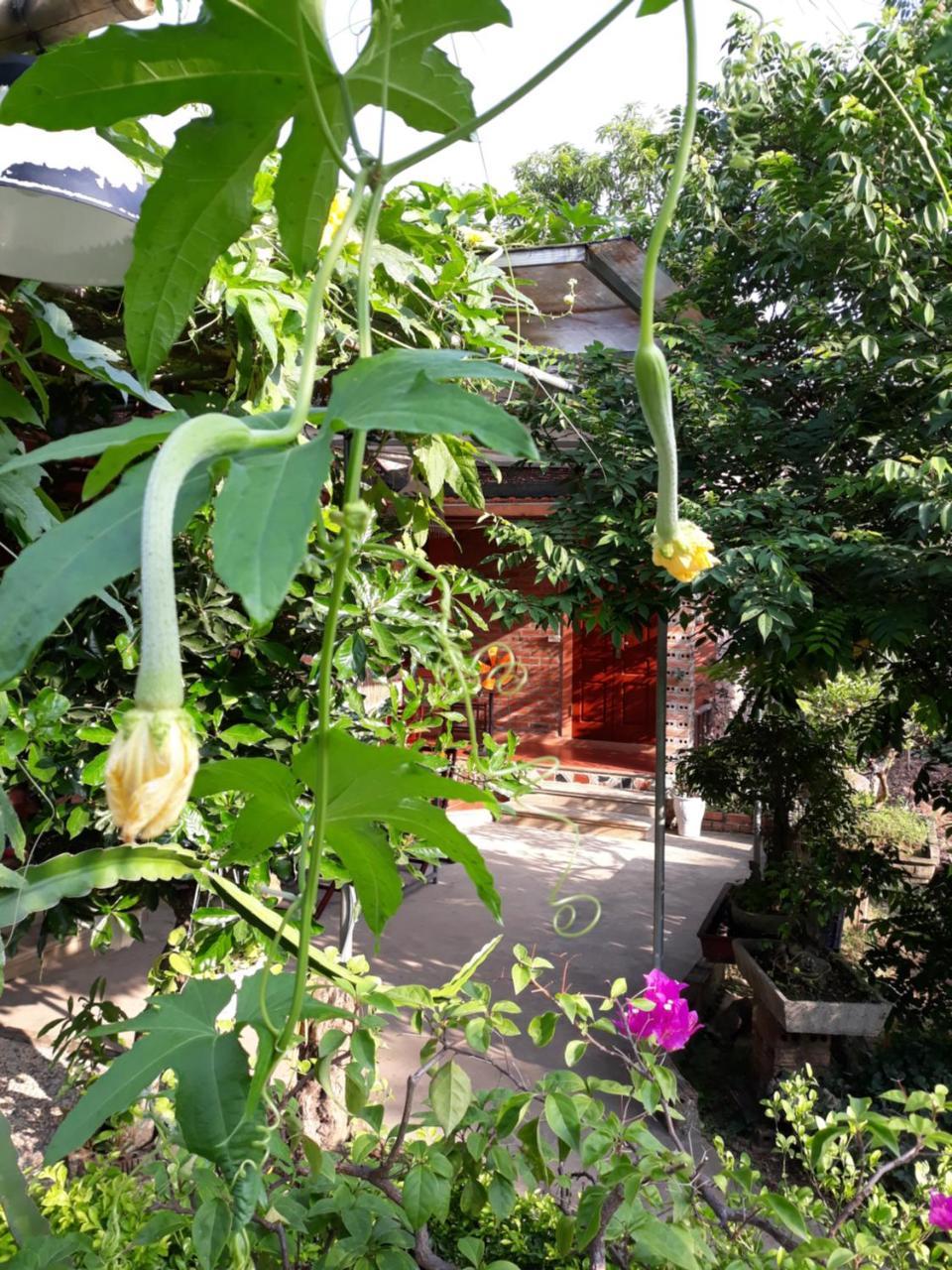 An Phu Homestay Ninh Binh Exterior foto